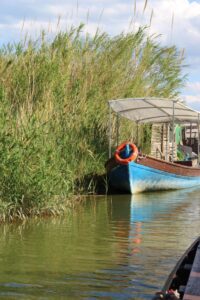 Bootsfahrt auf der Albufera (Foto: Helge Perplies)